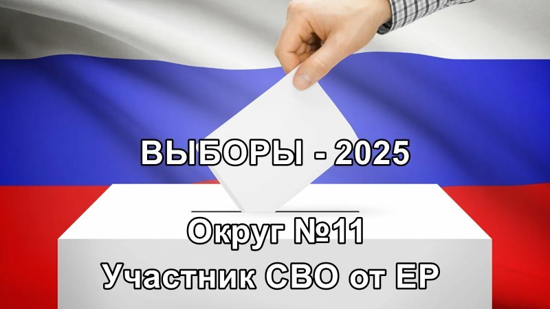 Выборы в новочеркасскую городскую Думу, округ 11