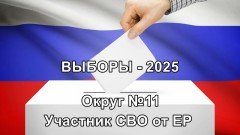 Выборы в новочеркасскую городскую Думу, округ 11