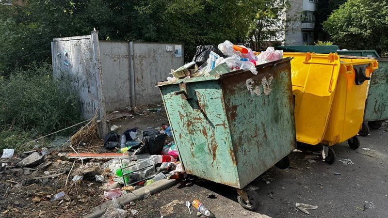 Со стихийных свалок в Новочеркасске вывезено 315 кубометров мусора