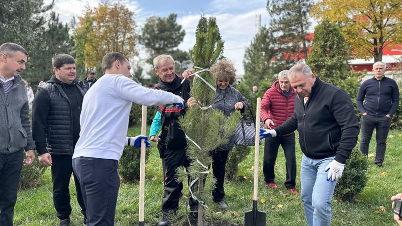 В 2023 в Новочеркасске высадили более шести тысяч деревьев и кустарников