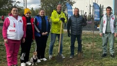 В парке микрорайона Октябрьского Новочеркасска высадили молодые деревья