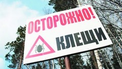 Как защититься от укуса клеща отправляясь на природу за город