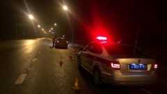 В Новочеркасске в ходе проведения рейдовых мероприятий сотрудники ГАИ выявили почти 50 нарушений ПДД 