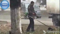 Ноябрь в Новочеркасске - традиционная пора для покоса травы, видео