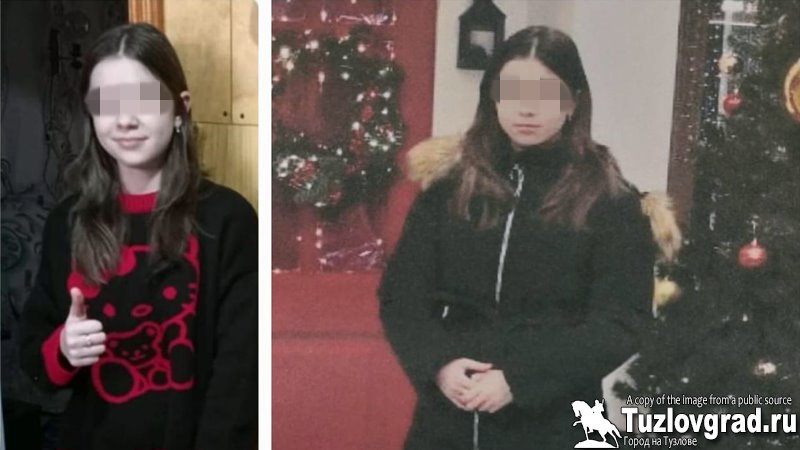 Пропавшая в Новочеркасске девочка была найдена полицейскими в Белокалитвенском районе