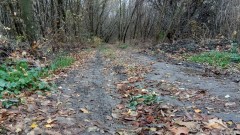 В Новочеркасске приступили к инвентаризации бесхозяйных дорог