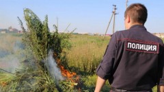 В Новочеркасске стартует профилактическая операция Мак-2024