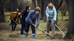В Ростовской области начинается месячник чистоты