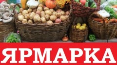 28 сентября жителей Новочеркасска приглашают на универсальную ярмарку