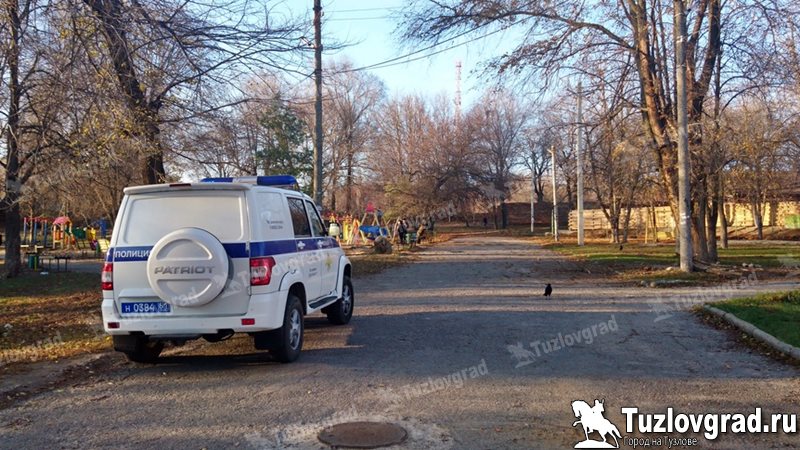 В Новочеркасске полицейские «разминировали» парк Чапаева