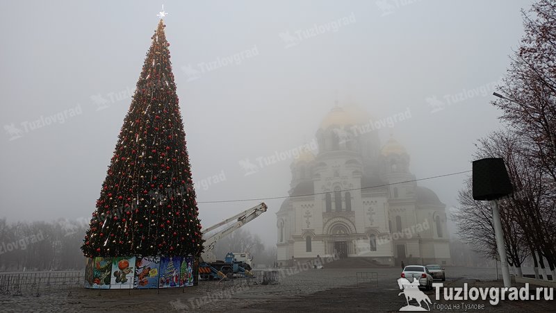 В Новочеркасске на соборной площади установили главную новогоднюю ель